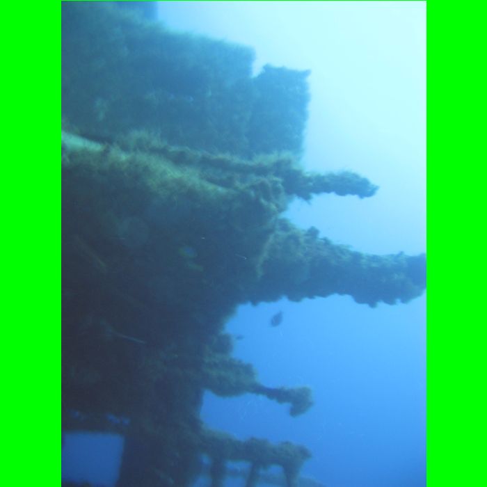 Dive WP Wrecks 25-Oct-09_262.JPG